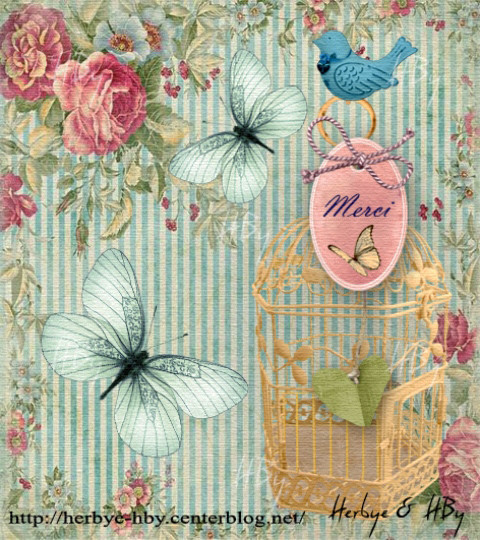 Merci / Thanks vintage et bordures png