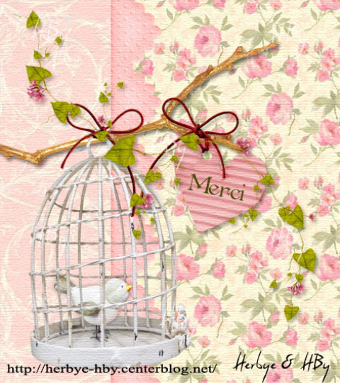 Merci / Thanks vintage et bordure png