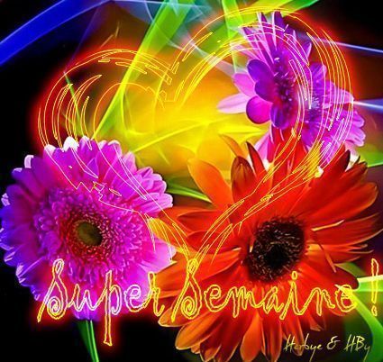 semaine_entiere_2015_1